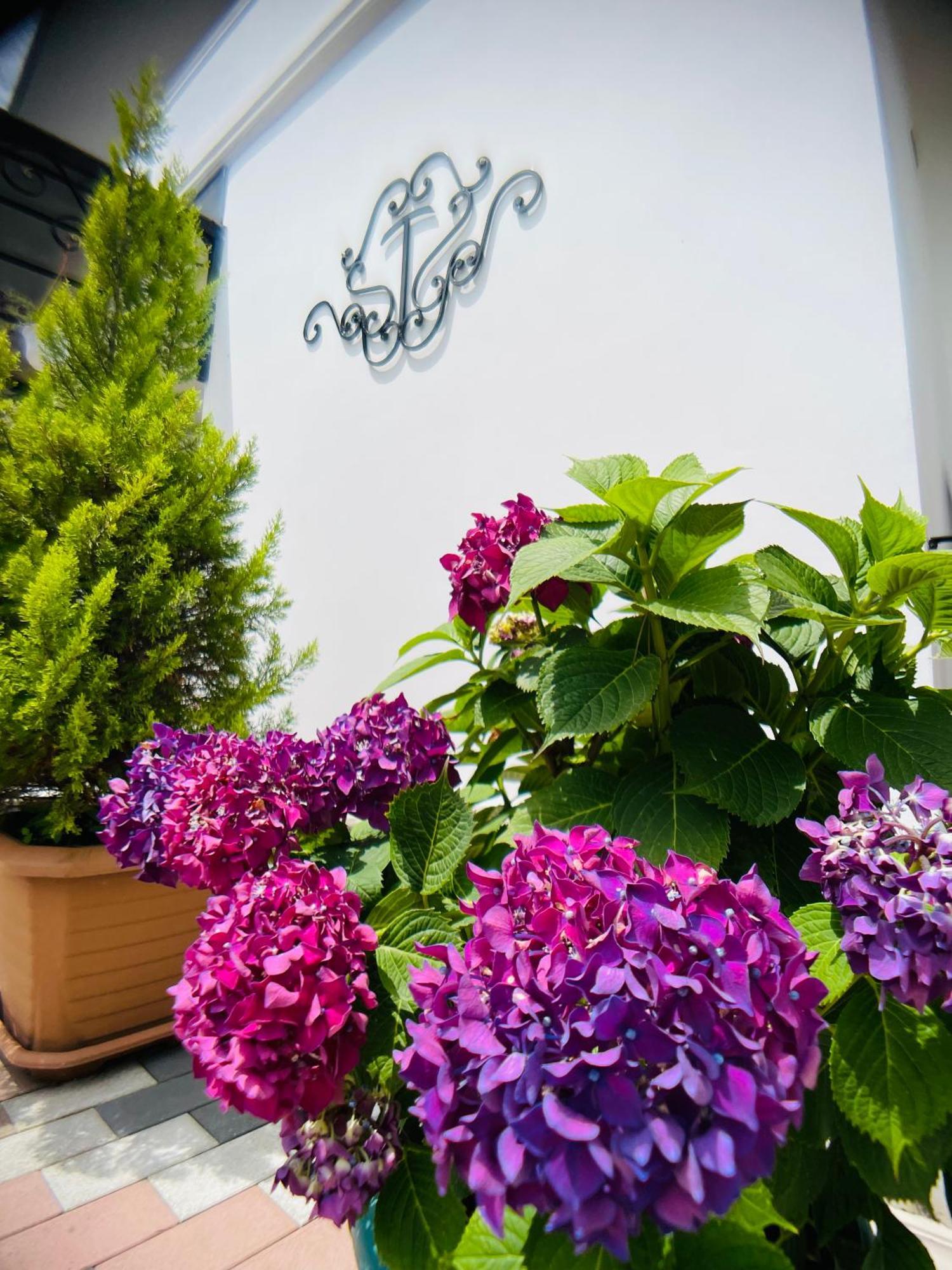 Hotel Tramonto Chakvi Dış mekan fotoğraf